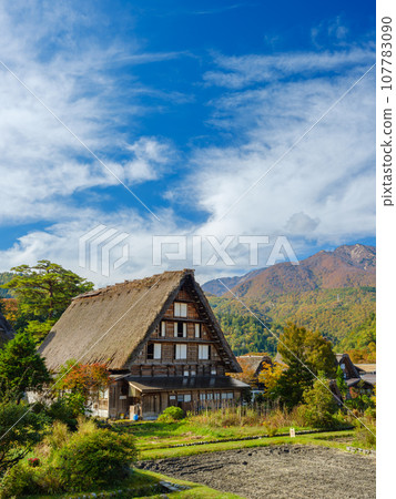 Gifu_Shirakawago Gassho-zukuri and autumn leaves scenery 107783090