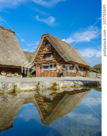 Gifu_Shirakawago Gassho-zukuri and autumn leaves scenery Gifu_Shirakawago Gassho-zukuri and autumn leaves scenery 107783095
