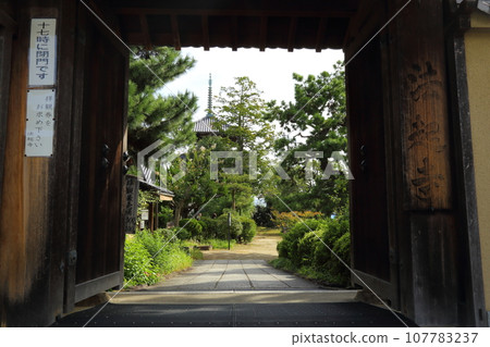 West gate of Hokiji Temple [Ikaruga Town, Nara Prefecture] 107783237
