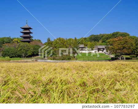 岡山_閃閃發光的稻穗和備中分寺的風景 岡山_閃閃發光的稻穗和備中分寺的風景 107783297