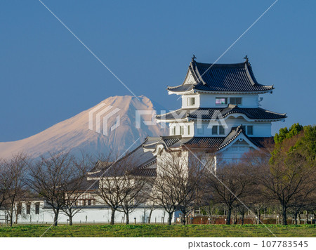 黎明時分,富士山和復原的關宿城天守閣的壯麗景色 黎明時分,富士山和復原的關宿城天守閣的壯麗景色 107783545
