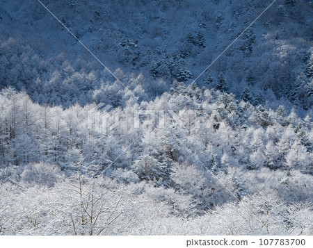 Yamanashi_Shining mountain scenery with hoarfrost and snow 107783700