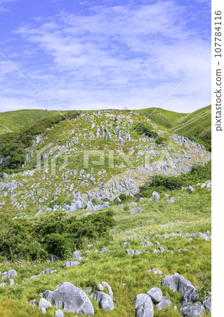 秋天美麗的平尾台（福岡縣北九州市） 107784116