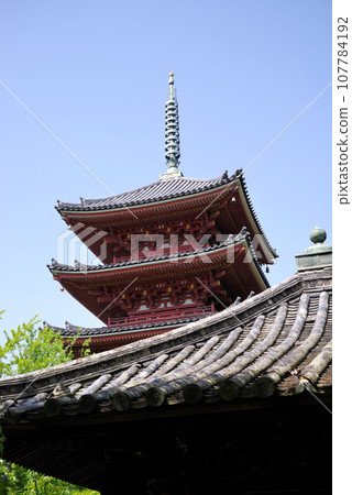Scenery of Shidoji Temple, the 86th temple of the 88 Temples of Shikoku Scenery of Shidoji Temple, the 86th temple of the 88 Temples of Shikoku 107784192