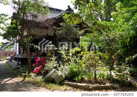Scenery of Shidoji Temple, the 86th temple of the 88 Temples of Shikoku Scenery of Shidoji Temple, the 86th temple of the 88 Temples of Shikoku 107784205