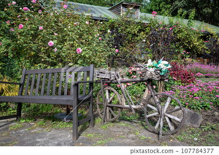 在晴朗的秋日盛開的各種花是在久住山腳下盛開的公園的花 在晴朗的秋日盛開的各種花是在久住山腳下盛開的公園的花 107784377