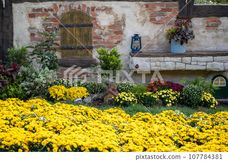 在晴朗的秋日盛開的各種花是在久住山腳下盛開的公園的花 107784381