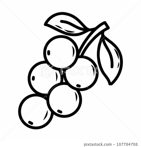 berry on branch in style of doodles. Currant. Coloring book for children. Hand drawn illustration. 107784708