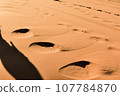 Sahara Desert 107784870