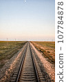 Siberian Railway 107784878