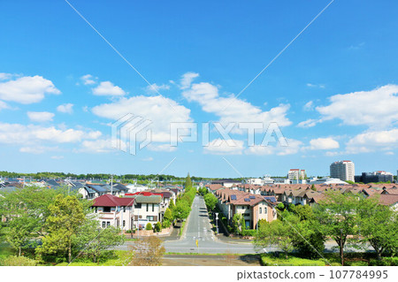 清新的藍天和城市的風景 107784995