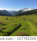 風景秀麗 107785209