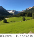 美麗的風景與綠色的草地 107785210