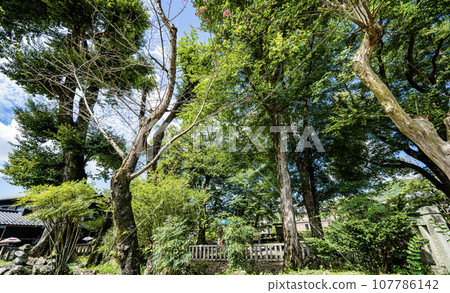 A view of Kukurimiya, the legendary place where Emperor Keiko visited Otohime in the Nihon Shoki. 107786142