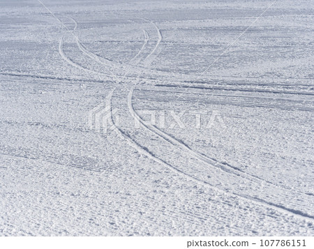 連接到滑雪場的支線 連接到滑雪場的支線 107786151