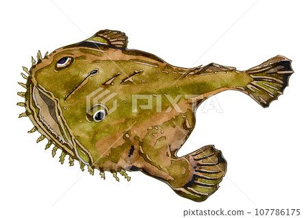 安哥潘 安哥潘 107786175