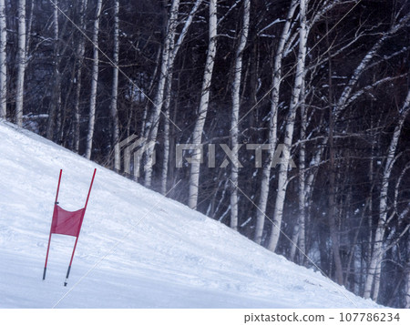 滑雪場和門口旗幟 107786234