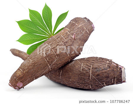 Cassava root isolated on white background 107786247
