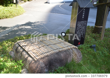 Seven wells Seven wells 107786979