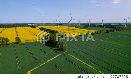 Aerial view Wind turbine on grassy yellow farm canola field against cloudy blue sky in rural area. Offshore windmill park with clouds in farmland Poland Europe. Wind power plant generating electricity 107787208