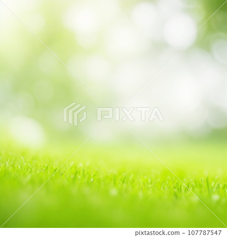 Blur natural background template  107787547