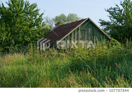 Depressed region of Ukraine. Dilapidation of the village. Unkept old fence and house, outskirts. View of outskirts and pole fence in village 107787844