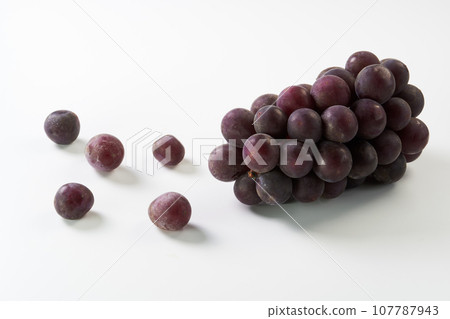 Kyoho (grapes) on a white background Kyoho (grapes) on a white background 107787943