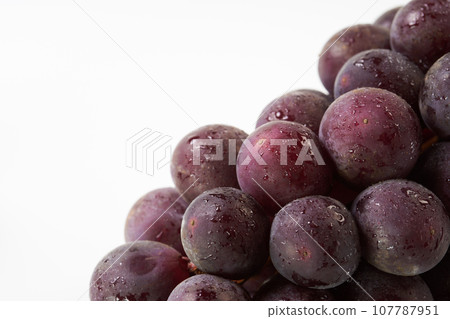 Kyoho (grapes) on a white background Kyoho (grapes) on a white background 107787951
