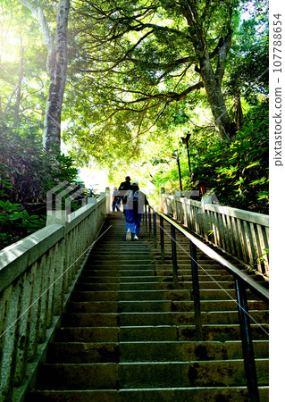 高尾山登山路線1風景 107788654