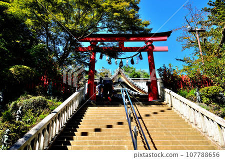 Mt. Takao mountain climbing route 1 scenery Mt. Takao mountain climbing route 1 scenery 107788656