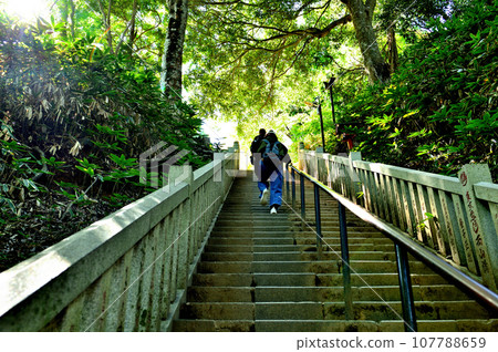 Mt. Takao mountain climbing route 1 scenery Mt. Takao mountain climbing route 1 scenery 107788659