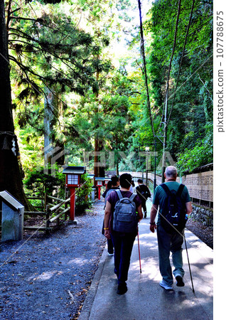 Mt. Takao mountain climbing route 1 scenery Mt. Takao mountain climbing route 1 scenery 107788675
