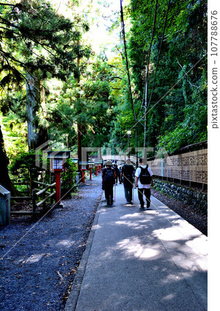 Mt. Takao mountain climbing route 1 scenery 107788676