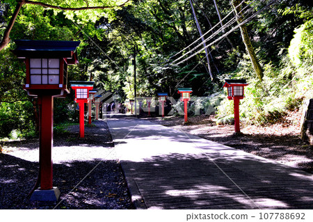Mt. Takao mountain climbing route 1 scenery Mt. Takao mountain climbing route 1 scenery 107788692