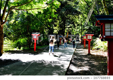 高尾山登山路線1風景 高尾山登山路線1風景 107788693