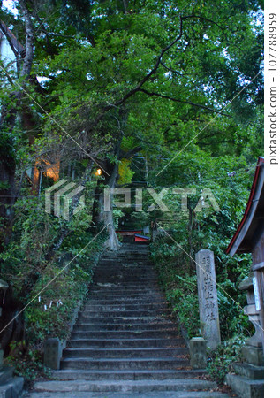 The approach to Hagurosan Yukami Shrine, a power spot in Aizuwakamatsu City, Fukushima Prefecture 107788959