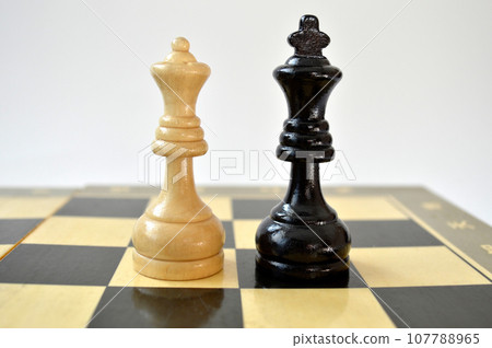 Two chess pieces white queen against black king on the chess board Two chess pieces white queen against black king on the chess board 107788965