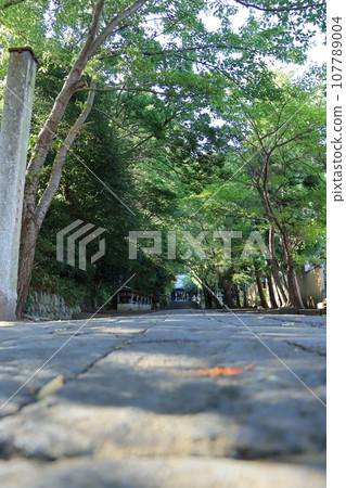 Scenery around Oiso Takagi Shrine Scenery around Oiso Takagi Shrine 107789004