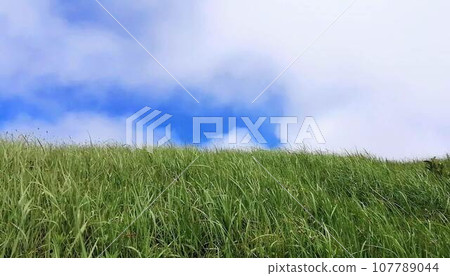 Prairie and blue sky 107789044