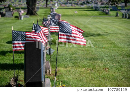American veterans flags flutter in a row in grassy cemetery 107789139