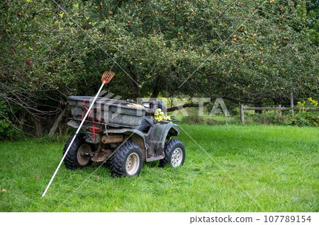 Apple picking pole and off road farm vehicle in apple orchard trees Apple picking pole and off road farm vehicle in apple orchard trees 107789154