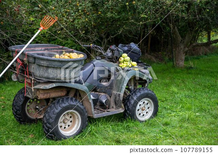 Apple picking pole and off road farm vehicle in apple orchard trees Apple picking pole and off road farm vehicle in apple orchard trees 107789155