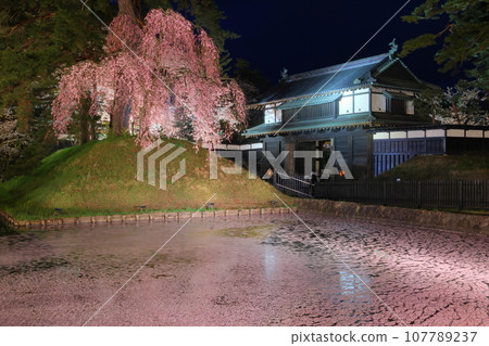 青森縣弘前市下白金町弘前公園,弘前城外護城河花排夜景,周圍是成排的櫻花樹和大手門前的紅色垂枝櫻花。 青森縣弘前市下白金町弘前公園,弘前城外護城河花排夜景,周圍是成排的櫻花樹和大手門前的紅色垂枝櫻花。 107789237