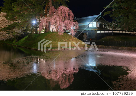 青森縣弘前市下白金町弘前公園,弘前城外護城河花排夜景,周圍是成排的櫻花樹和大手門前的紅色垂枝櫻花。 青森縣弘前市下白金町弘前公園,弘前城外護城河花排夜景,周圍是成排的櫻花樹和大手門前的紅色垂枝櫻花。 107789239
