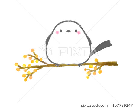 一隻小鳥(Shimaenaga)棲息在一棵黃色樹的樹枝上。 一隻小鳥(Shimaenaga)棲息在一棵黃色樹的樹枝上。 107789247