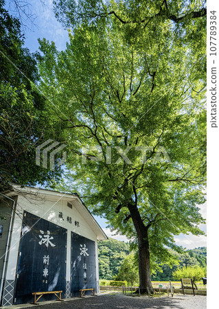 九里宮一景,這是慶子天皇的弟弟公主(乙姫)在《日本書紀》中拜訪美濃時的傳奇之地。 九里宮一景,這是慶子天皇的弟弟公主(乙姫)在《日本書紀》中拜訪美濃時的傳奇之地。 107789384
