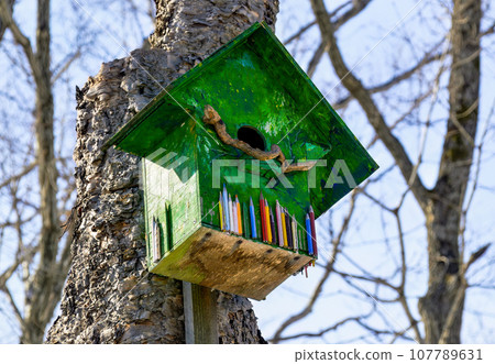 Wooden birdhouse with flowers. It hanging on the tree on sky background. Side view 107789631