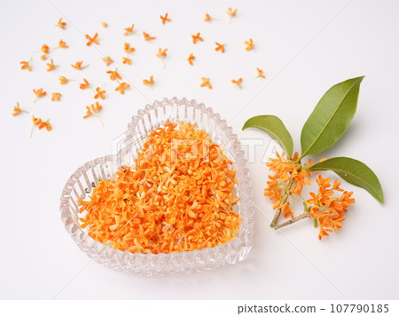 Scent of osmanthus 107790185