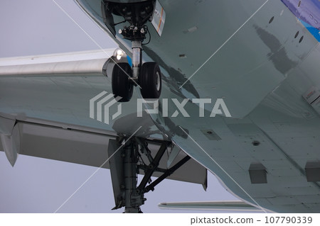 噴氣式飛機降落 107790339