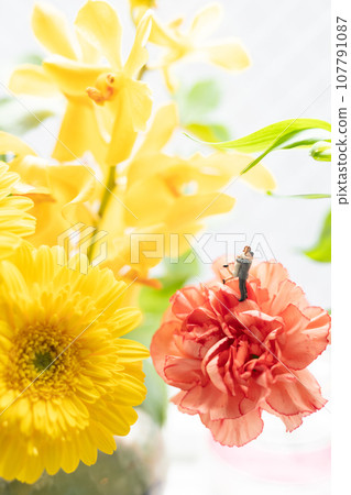 miniature dolls and flowers 107791087